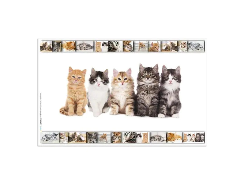 HERMA Schreibunterlage Katzen 55 x 35 cm