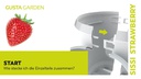 Gusta Garden Aufzuchttöpfe SISSI STRAWBERRY Hanging, Anthrazit