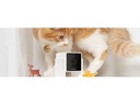 Petcube Haustierkamera Pet Cube