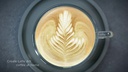 Sage Nespressomaschine Creatista Plus 1.5 l Schwarz