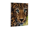 CRAFT Buddy Bastelset Crystal Art Kit Leopard 30 x 30 cm