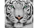 CRAFT Buddy Bastelset Crystal Art Kit White Tiger 30 x 30 cm