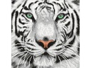 CRAFT Buddy Bastelset Crystal Art Kit White Tiger 30 x 30 cm
