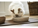 Wolters Napf Diner Stone Cat, Braun, 0.3 l