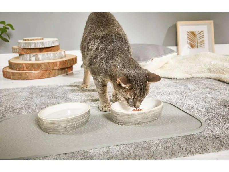 Wolters Napf Diner Stone Cat, Braun, 0.3 l
