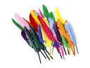 Creativ Company Federn 17 - 20 cm 250 Stück