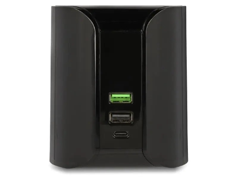 Delock Ladestation 41441 mit Wireless Charger