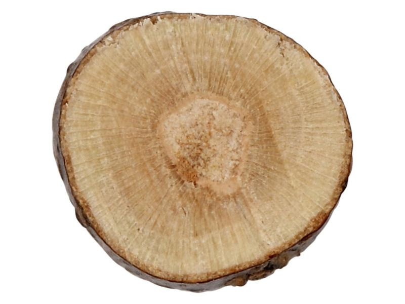 Creativ Company Holzkleinteile Ø 0.7-1 cm