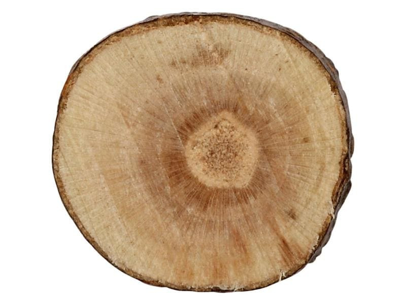 Creativ Company Holzkleinteile Ø 1-1.5 cm