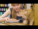 catz finefood Nassfutter Fillets No.415 Huhn &amp; Känguru, 85 g