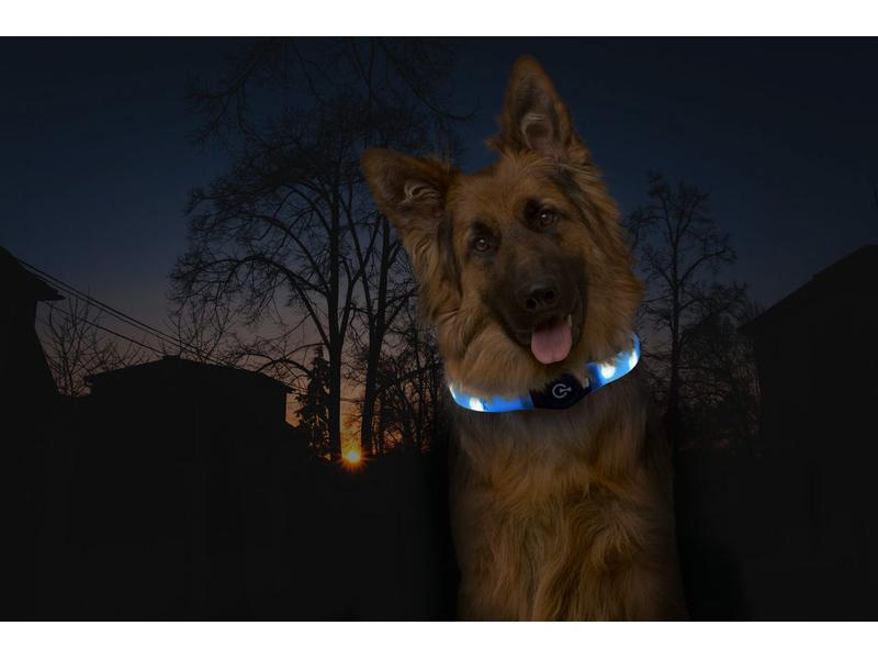 Karlie Leuchtring Visio Light LED Langhaar, blau