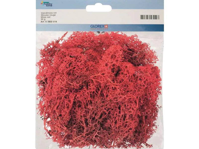 Glorex Moos Island Rot