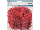 Glorex Moos Island Rot