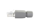Dätwyler Cables Stecker RJ45, IP20 Cat.5/5e Feldkonfektion