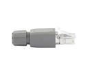 Dätwyler Cables Stecker RJ45, IP20 Cat.5/5e Feldkonfektion