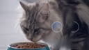 Purina ONE Trockenfutter Senior Huhn &amp; Vollkorn, 800g