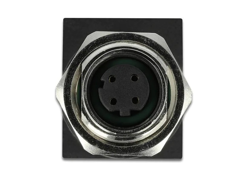 Delock Winkeladapter M12 4 Pin zu RJ45 Buchse 1 Stück