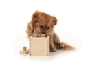 Hundespiele.ch Strategie-Spiel Babuschka