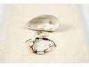 Creativ Company Perlen Muscheln, 20 mm, gold, 6 Stk.