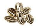 Creativ Company Perlen Muscheln, 20 mm, gold, 6 Stk.