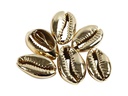 Creativ Company Perlen Muscheln, 20 mm, gold, 6 Stk.