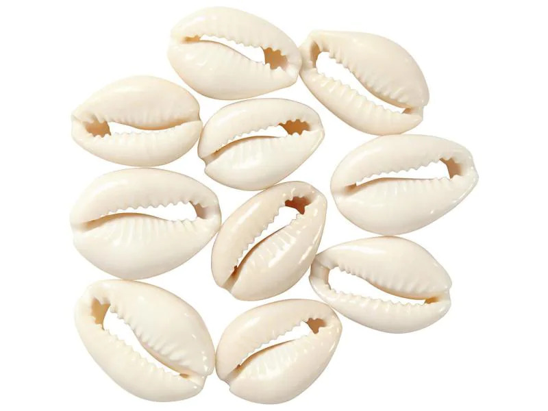 Creativ Company Perlen Muscheln, 20 mm, natur, 12 Stk.
