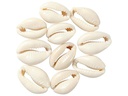 Creativ Company Perlen Muscheln, 20 mm, natur, 12 Stk.