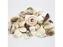 Creativ Company Perlen-Set 120 g Strandmuscheln