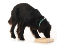 Hundespiele.ch Strategie-Spiel Zaunpfahl