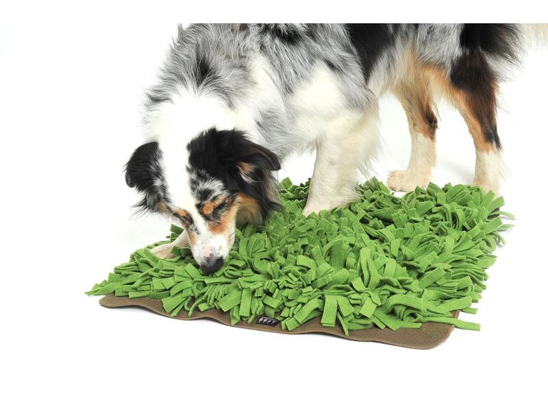KNAUDER'S BEST Hunde-Spielzeug   Schnüffelrasen