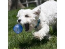 Kong Ballset Squeezz Geodz, assortiert