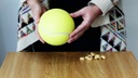 Kong Futterball Rewards Tennis S Ø 8.2 cm