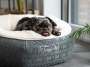 TrendPet Hunde-Bett LunaBed, Beige, S