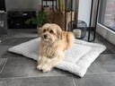 TrendPet Hunde-Decke Heaven, Grau, Gr.S