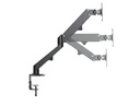 Neomounts by NewStar Tischhalterung DS70-700BL2 bis 7 kg – Schwarz