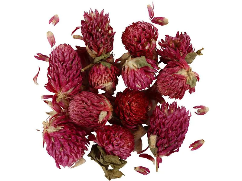 Creativ Company Blüten 15 g, Rotes Kleeblatt
