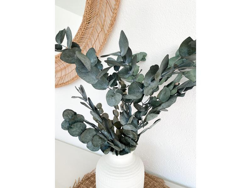 Soli Collection Trockenblumen Eukalyptus 40-55 cm, Weiss