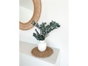 Soli Collection Trockenblumen Eukalyptus 40-55 cm, Weiss
