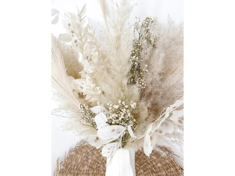 Soli Collection Trockenblumen Gyps 55 cm, Naturfarben