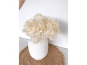 Soli Collection Trockenblumen Hortensien 30 cm, Weiss