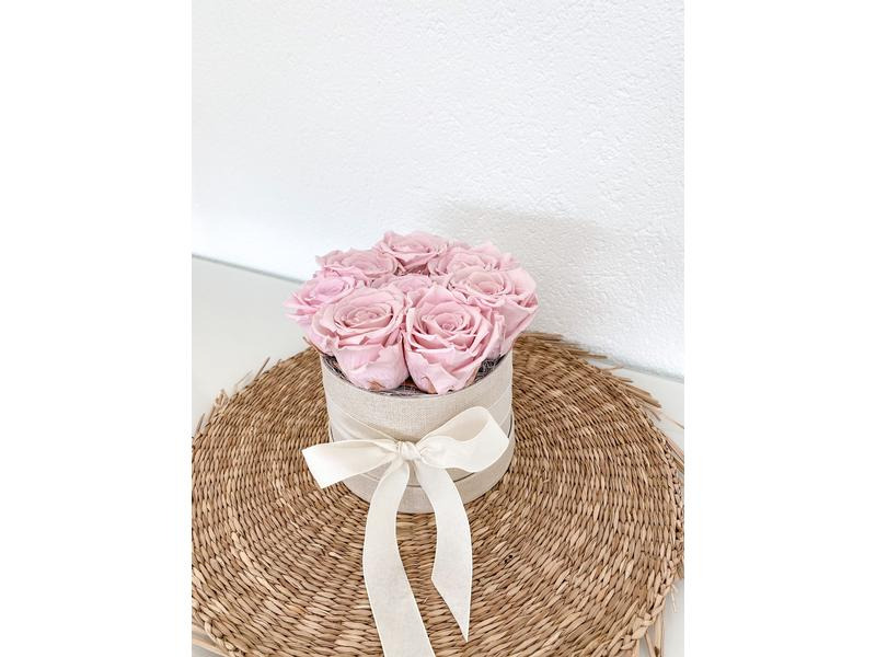 Soli Collection Trockenblumen Rosen 8 Stück, Rosa
