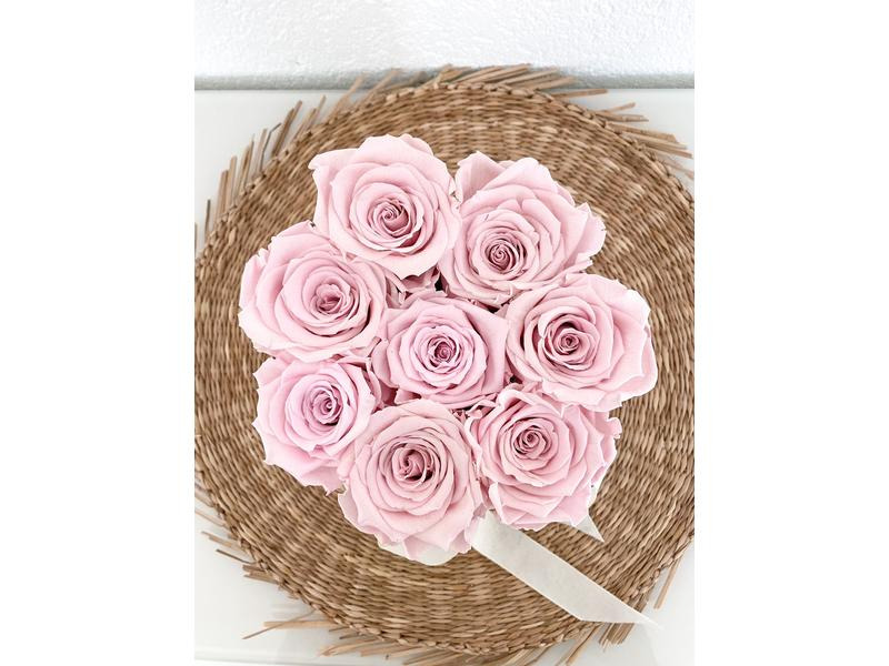 Soli Collection Trockenblumen Rosen 8 Stück, Rosa