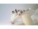 PetHomes Kratzbaum Long Beach 198cm beige