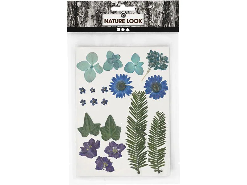 Creativ Company Streudeko Gepresste Blüten und Blätter, Blau, 19 sort.
