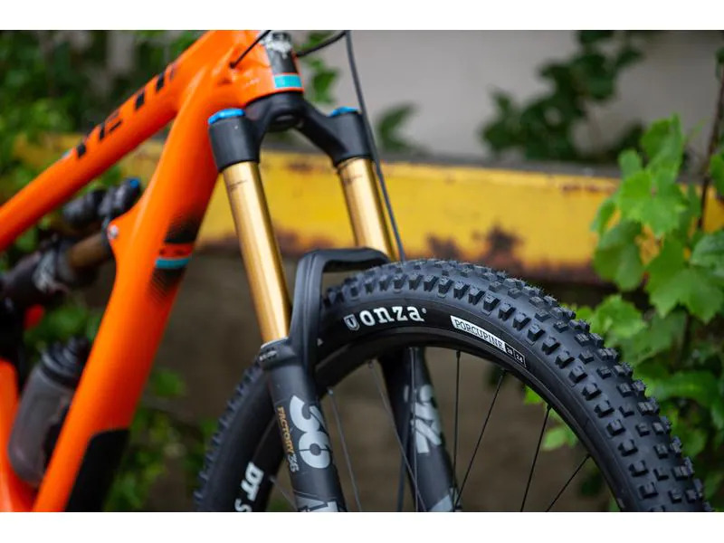 Onza Velopneu Porcupine, 50 Rubber, 29  x 2.6