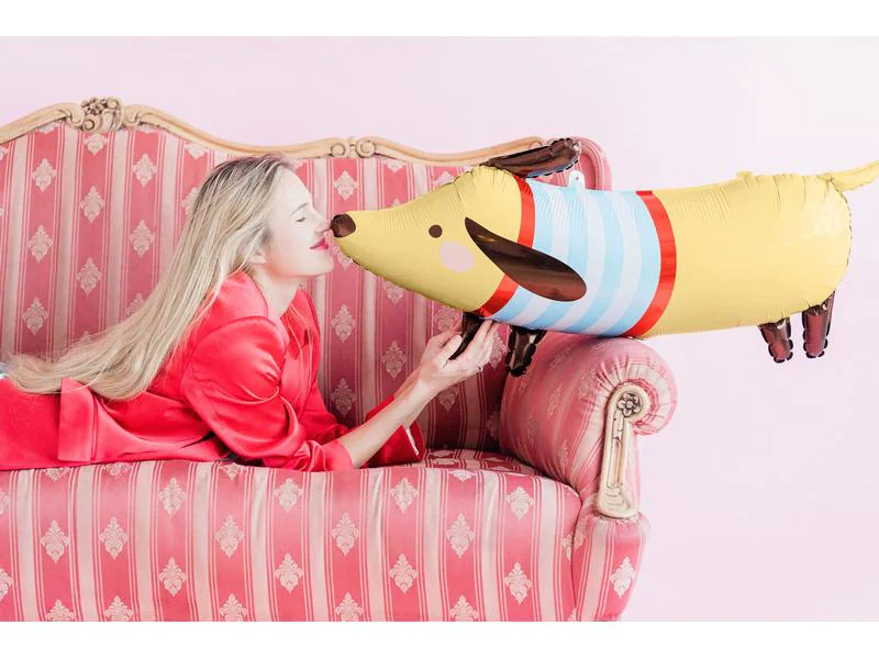 Partydeco Folienballon Dachshund Braun