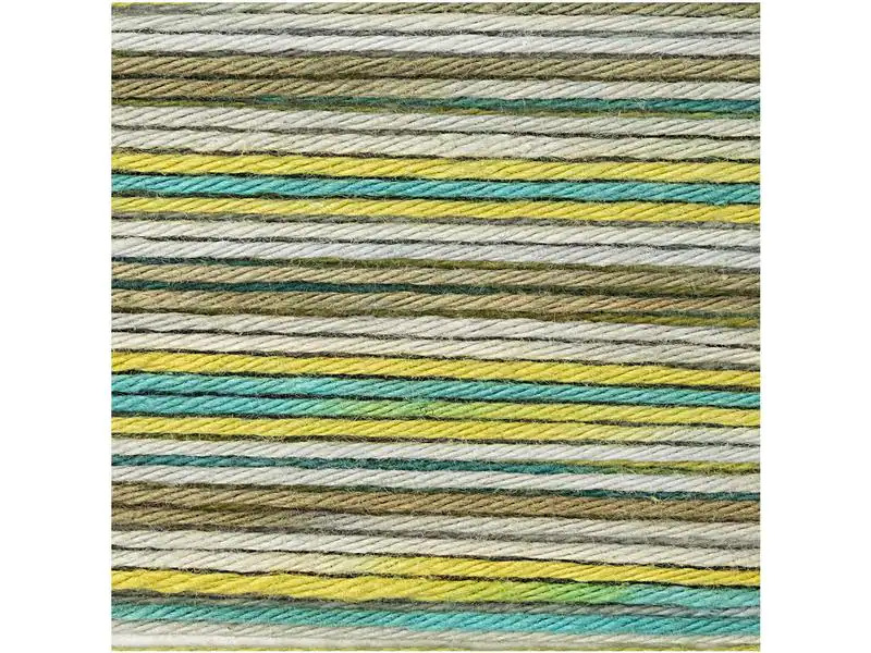 Rico Design Wolle Creative Ricorumi DKs 25 g, Grün-Mix