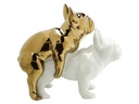 Kare Love Dogs Weiss/Gold