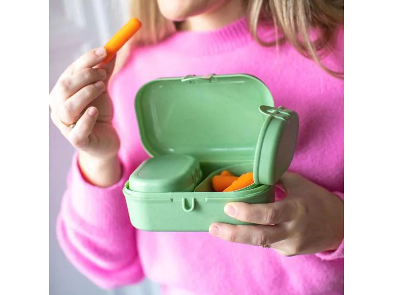 Koziol Lunchbox Pascal Ready Mini Grün