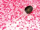 Partydeco Konfettikanone Push-Pop Ø  8 mm, 1 Stück, Pink